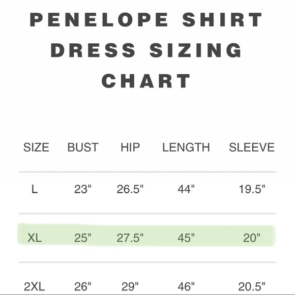 NWT WRAY Penelope Shirt Dress - Picture 4 of 4